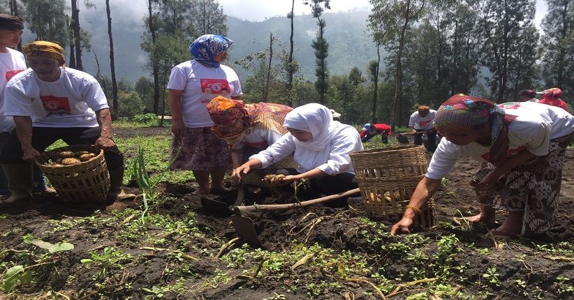 Jelang Perayaan Nyepi, Khofifah Kunjungi Suku Tengger di Probolinggo