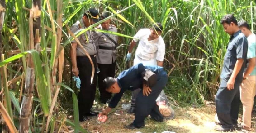 title Mayat Lelaki Tanpa Busana Gegerkan Warga Mojokerto Mayat Lelaki Tanpa Busana Gegerkan Warga Mojokerto