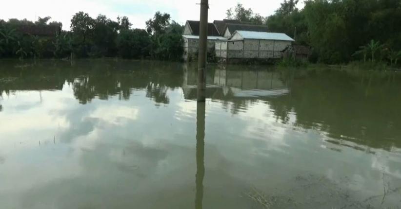title Sungai Bengawan Solo Meluap, Ratusan Hektare Padi Terendam Banjir Sungai Bengawan Solo Meluap, Ratusan Hektare Padi Terendam Banjir