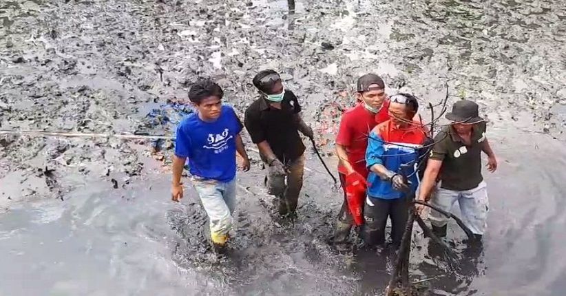 11 Hektare Konservasi Mangrove Rusak Akibat Tumpahan Minyak