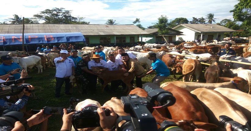 Capai Swasembada Protein, Indonesia Ekspor Sejumlah Komoditas Ternak