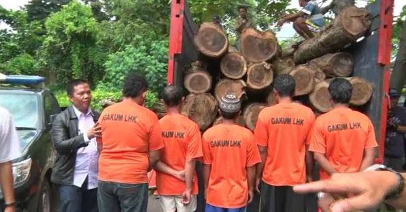 12 Pembalak Liar di Hutan Lindung di Lampung Tengah Ditangkap Petugas