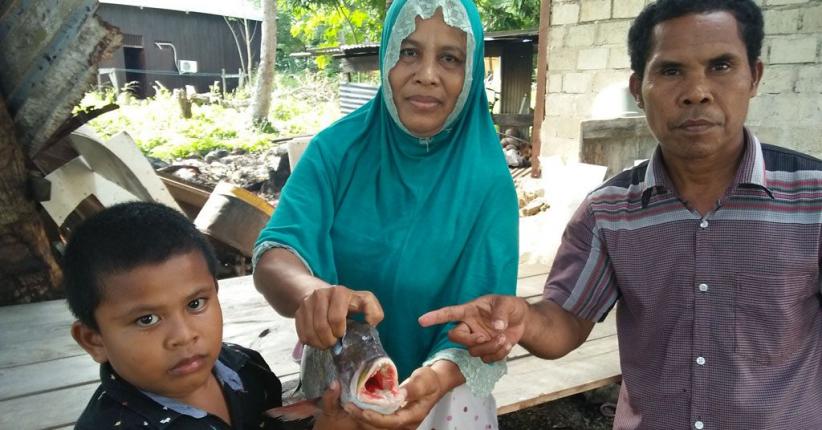 Penemuan Ikan Bergigi Mirip Manusia Gegerkan Warga di Raja Ampat