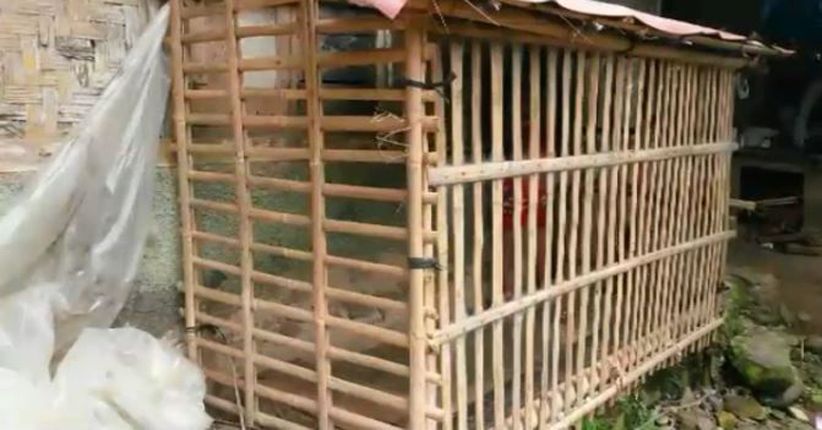 Anak Penyandang Disabilitas di Pandeglang Tinggal dalam Kurungan Ayam
