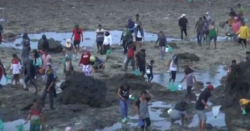 Pengunjung Festival Bau Nyale Tewas Dianiaya di Kerumunan Pengunjung