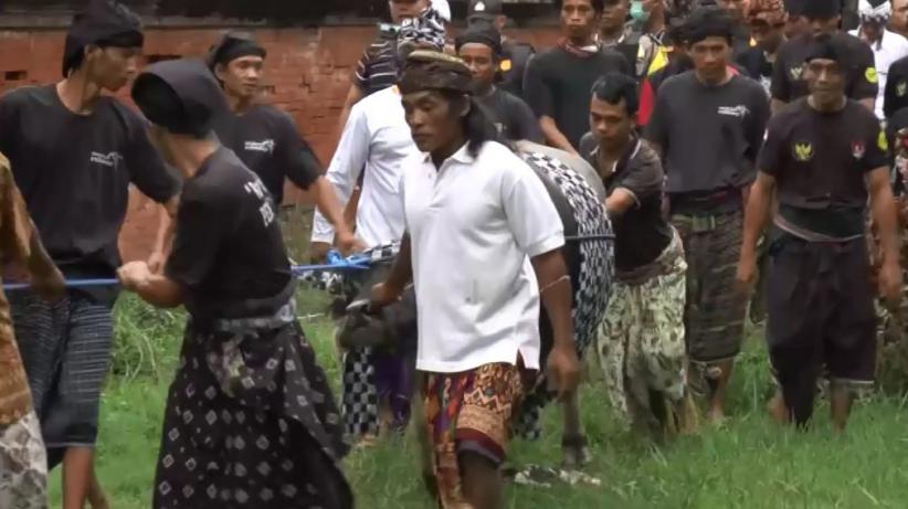 Tradisi Arak Kerbau Kelilingi Pura, Menjaga Kerukunan Agama di Lombok