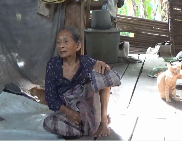 Belajar Kasih dari Nenek dan Belasan kucingnya yang Hidup di Gubuk Tua