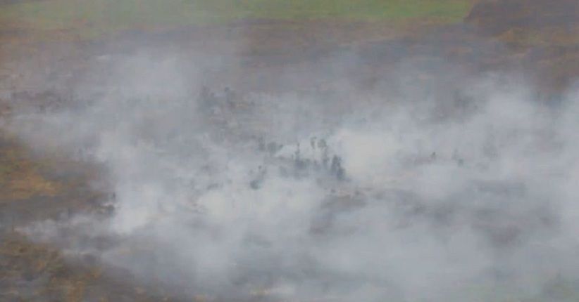 Karhutla di Riau, Polisi Tangani 15 Kasus dan Tangkap 19 Pelaku