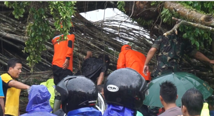 Beringin Tua Tumbang Disapu Angin, 2 Orang Tewas dan 6 Luka-Luka