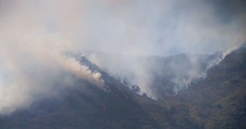 Kawasan Hutan Gunung Talang di Solok Terbakar