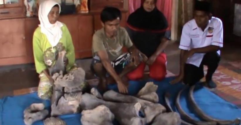 Dapat Mimpi Aneh, Petani di Padang Temukan Fosil Berukuran Raksasa