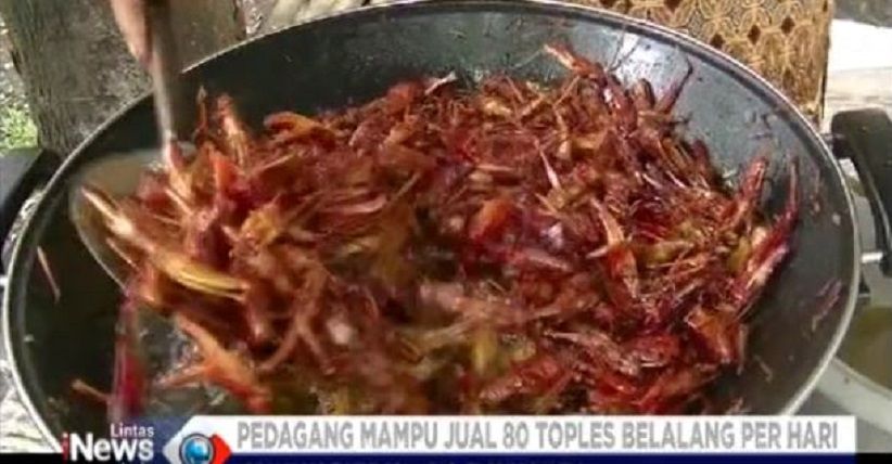 Belalang Goreng Gunungkidul Diburu Wisatawan 