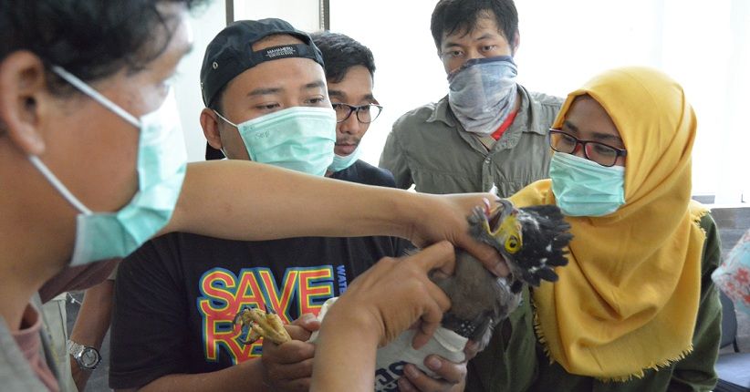 title Wild Rescue Center Siap Lepas Liarkan 3 Satwa Langka Wild Rescue Center Siap Lepas Liarkan 3 Satwa Langka