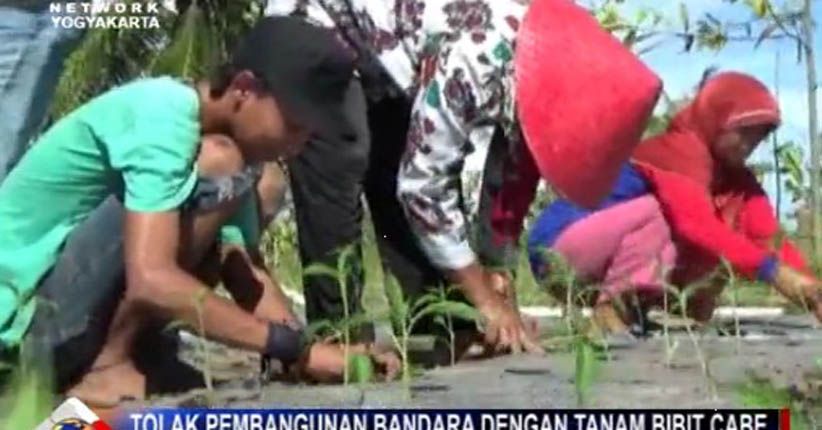 title Tolak Bandara Baru Yogya, Warga Tanam Cabai di Lokasi Proyek Tolak Bandara Baru Yogya, Warga Tanam Cabai di Lokasi Proyek