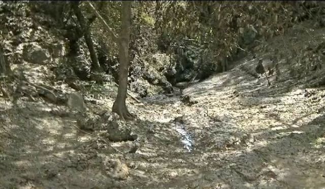 Pascabanjir Gunungkidul, 35 Hektare Lahan Pertanian Terendam Lumpur