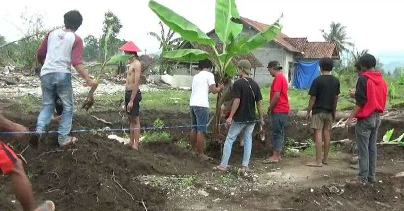 Penolak Bandara Kulonprogo Tanam Pohon Pisang dan Perbaiki Jalan 