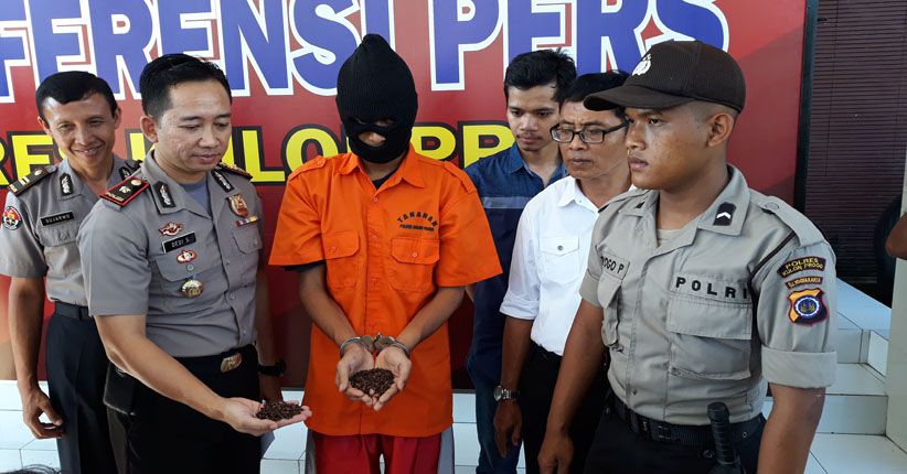 Fotografer Studio Ini Curi Cengkih 40 Kg di Rumah Mantan Gurunya 