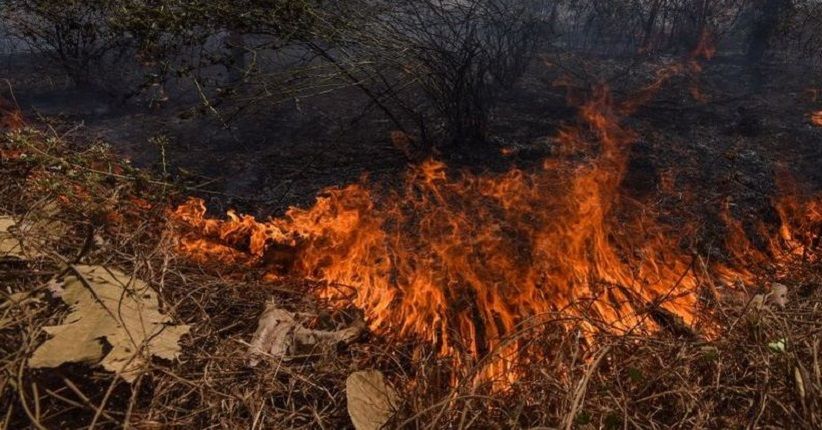 BMKG Deteksi Munculnya 17 Titik Panas di Riau