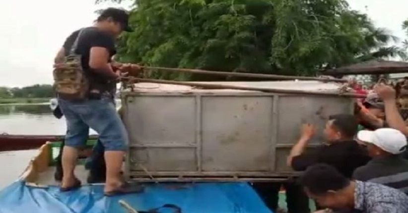 Sepak Terjang Harimau Bonita yang Tewaskan 2 Warga Akhirnya Terhenti