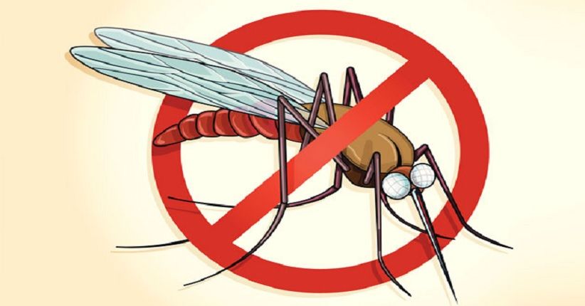 Perbukitan Menoreh Masih Jadi Daerah Endemis Malaria, Awal 2022 Ditemukan 6 Kasus