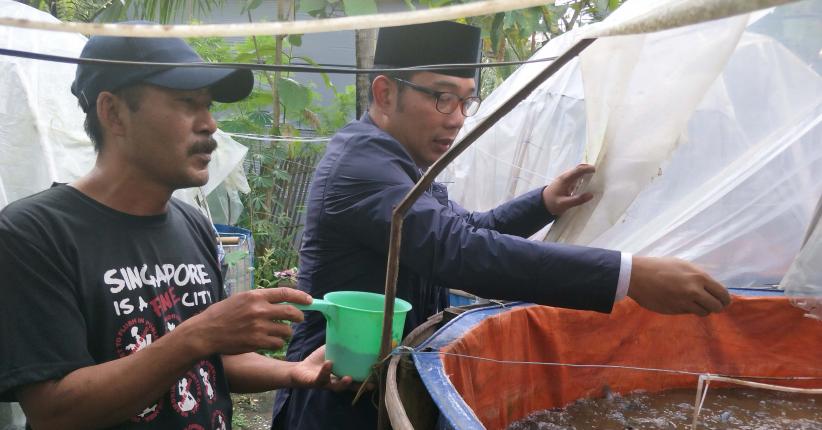 Terbukti Untung, Kang Emil Paksakan Program Satu Desa Satu Perusahaan