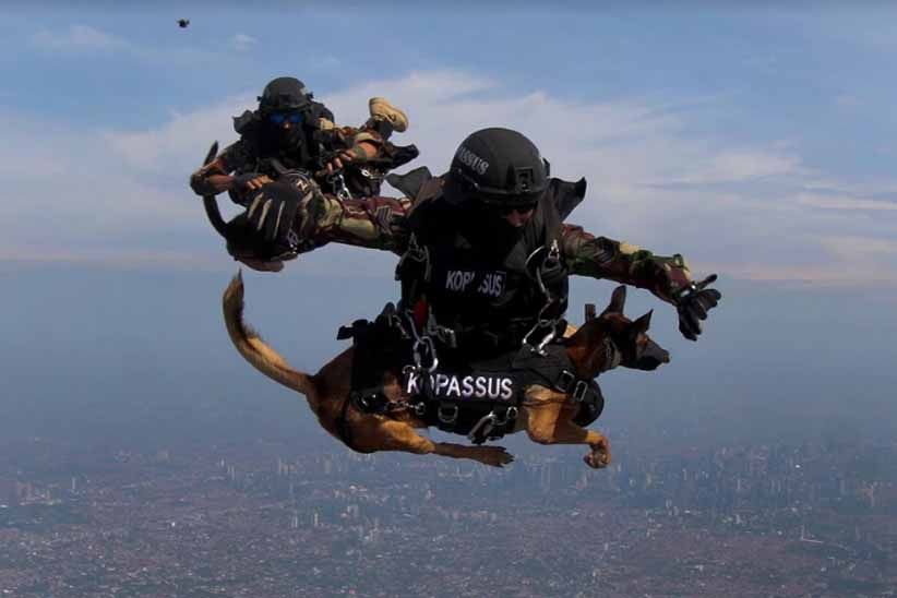 Pewarta Foto Indonesia Gelar APFI 2018 di Batam, Ini Juaranya - Bagian 2