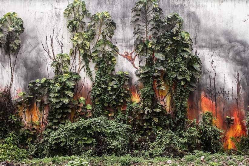 Pewarta Foto Indonesia Gelar APFI 2018 di Batam, Ini Juaranya - Bagian 4