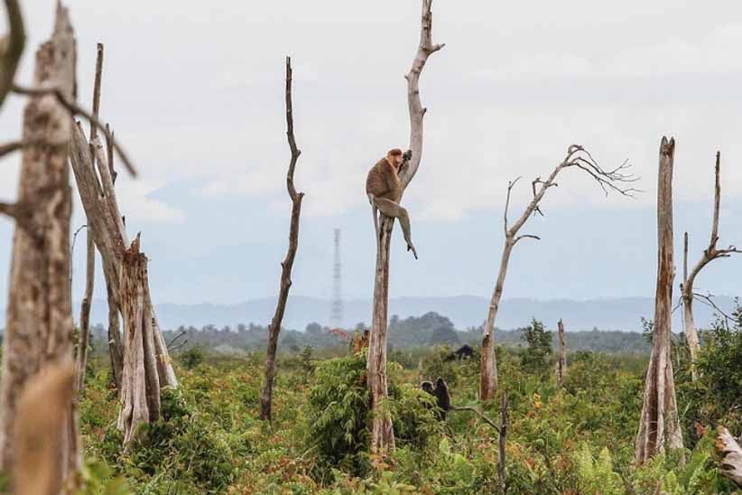 Pewarta Foto Indonesia Gelar APFI 2018 di Batam, Ini Juaranya - Bagian 9