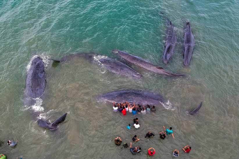 Pewarta Foto Indonesia Gelar APFI 2018 di Batam, Ini Juaranya - Bagian 7