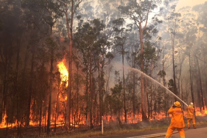 25 Hotspot Terdeteksi di Sumut, Wagub Musa Rajekshah Minta Waspada Karhutla