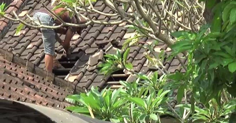 5 Tahanan Polresta Denpasar Barat Kabur, 8 Polisi Diperiksa