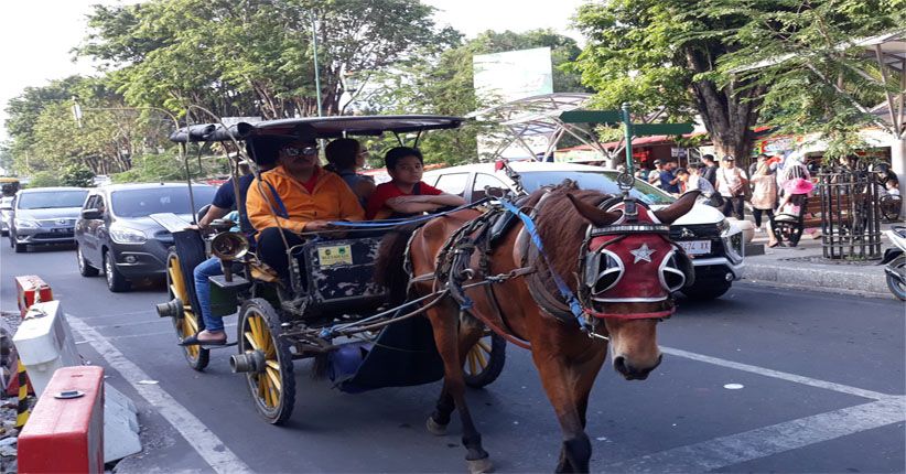 Libur Lebaran, Kusir Andong Malioboro Keluhkan Sepinya Penumpang