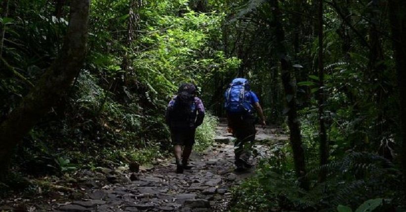 4 Pendaki Terjebak Badai di Gunung Marapi, Salah Satu Korban Keponakan Wagub Riau