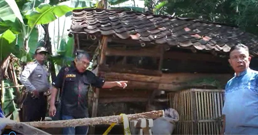 Hendak Menikahkan, Warga Gununghalu Ditemukan Tewas di Kandang Kambing