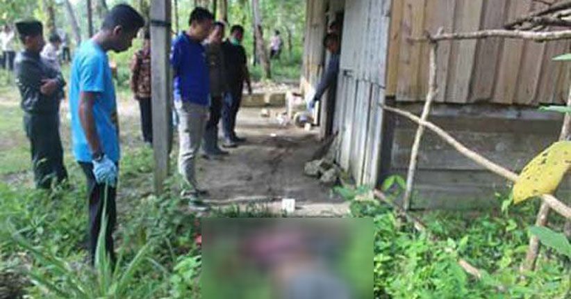 Mayat Bersimbah Darah Ditemukan di Kebun Karet, Warga Sarolangun Geger