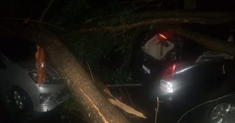 title Hujan Disertai Angin Kencang di Medan, Pohon Bertumbangan Timpa Mobil Hujan Disertai Angin Kencang di Medan, Pohon Bertumbangan Timpa Mobil