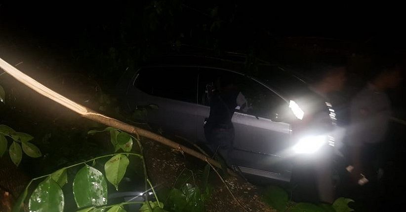 Musibah Angin Kencang di Medan, BPBD: 5 Mobil Tertimpa Pohon Tumbang