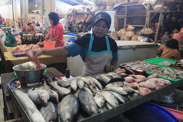 Suhu Dingin Landa DIY, Produksi Ikan Terancam Turun