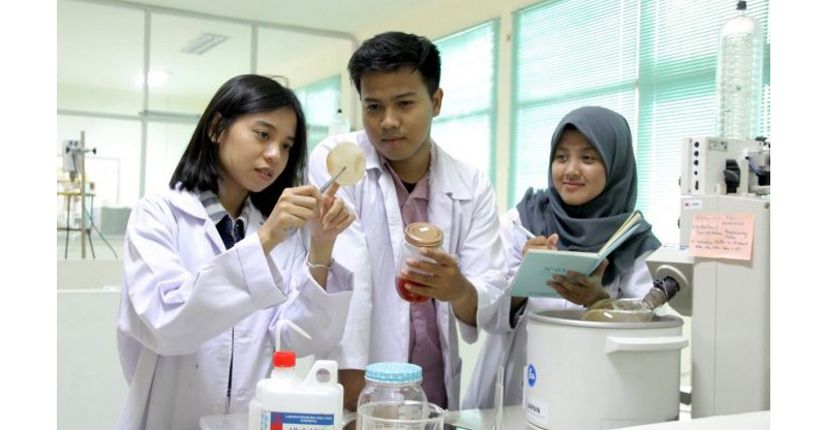 Inovatif, Mahasiswa Unair Ciptakan Kantong Darah dari Ekstrak Mangrove