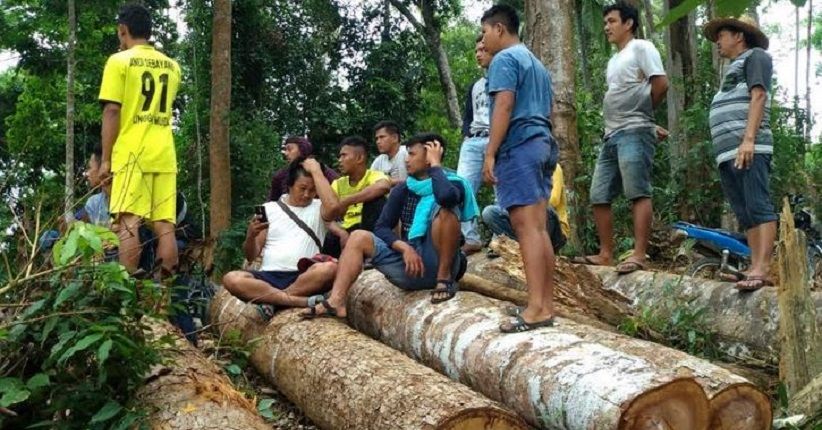 Marak Kasus Pembalakan Liar di Karo, Warga Minta Pelaku Dihukum