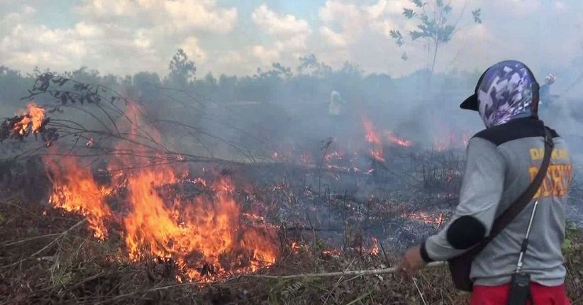 Kebakaran Hutan dan Lahan di Kalteng Meluas hingga 1.700 Hektare