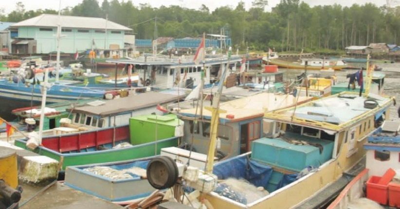 Tak Kantong Izin, 15 Kapal Nelayan Dilarang Melaut di Perairan Timika