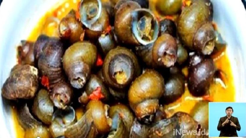 Puluhan Warga 2 Desa di Sukabumi Keracunan Keong Sawah, 1 Orang Tewas