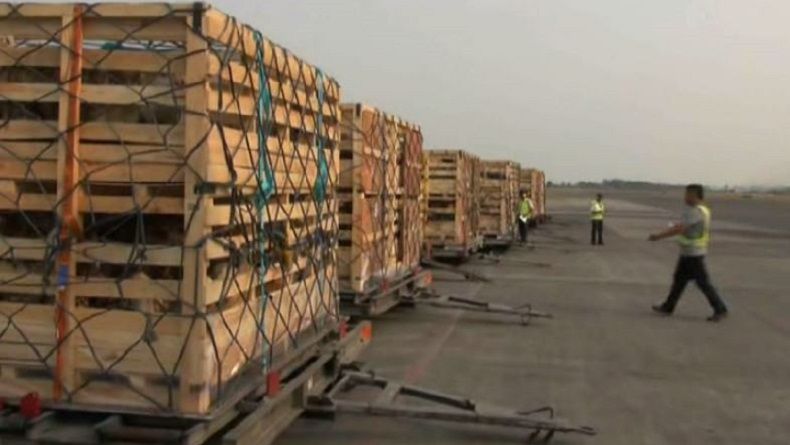 Jelang Idul Adha, Jatim Ekspor 1.093 Ekor Kambing ke Malaysia