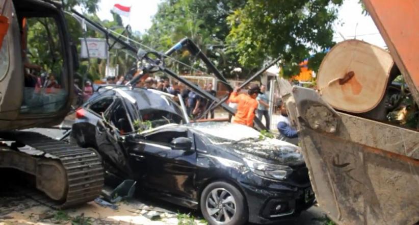 Pohon Tumbang Timpa Pengguna Jalan di Cirebon, 1 Tewas 2 Luka Parah