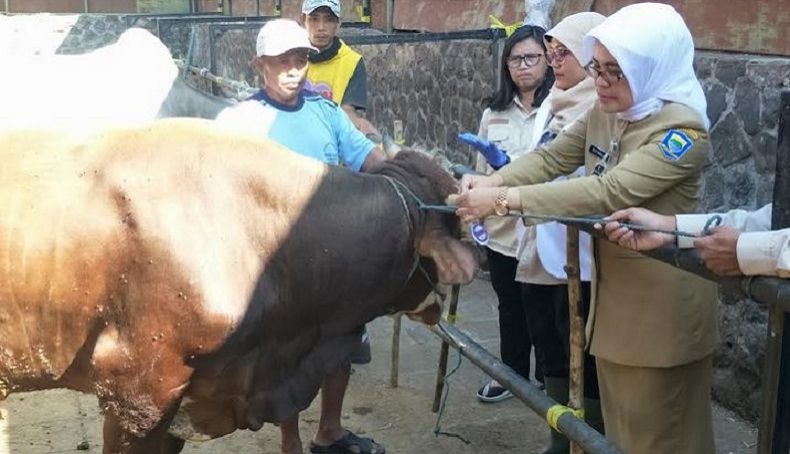title Jelang Idul Adha, Bandung Terjunkan Satgas Pemeriksa Hewan Kurban Jelang Idul Adha, Bandung Terjunkan Satgas Pemeriksa Hewan Kurban