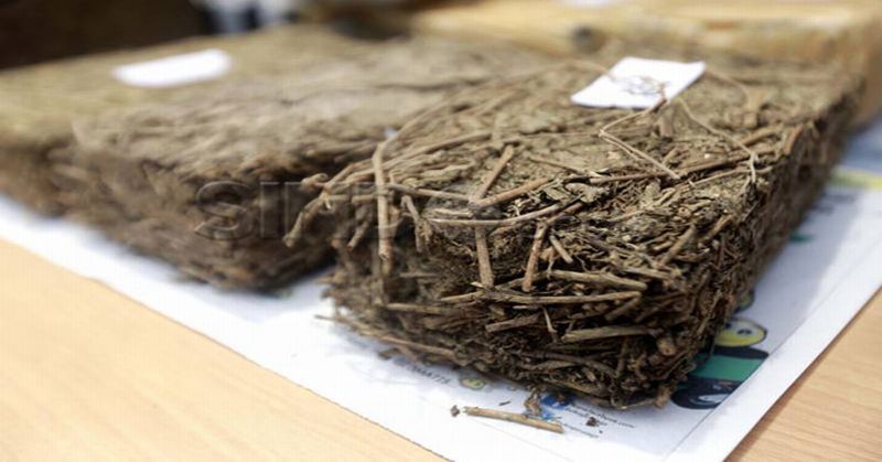 Lapas Bengkalis Gagalkan Penyelundupan Narkoba ke Dalam Rumah Tahanan