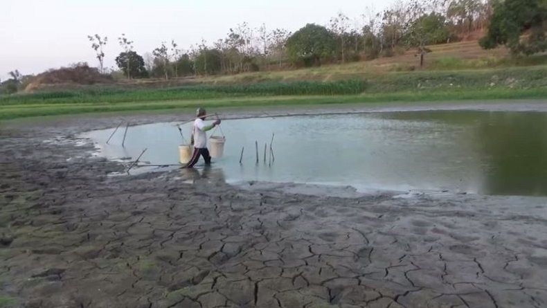 Waduk Grojokan Di Jombang Mengering, 700 Hektare Sawah Terancam Mati