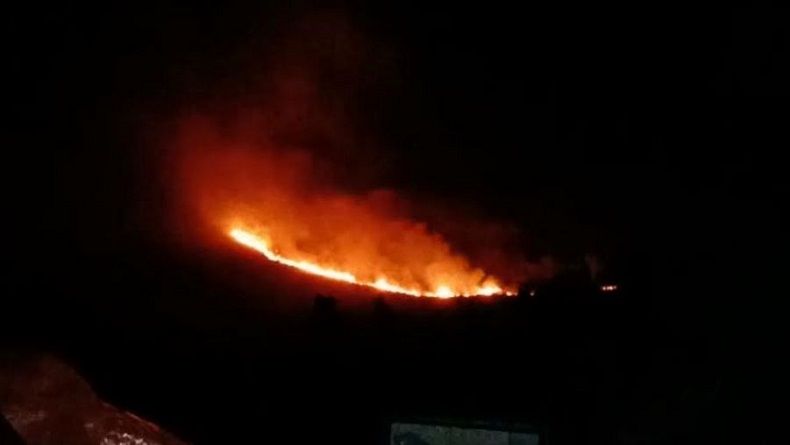 Perbukitan Danau Toba Terbakar, Bupati Samosir Turun Tangan Langsung