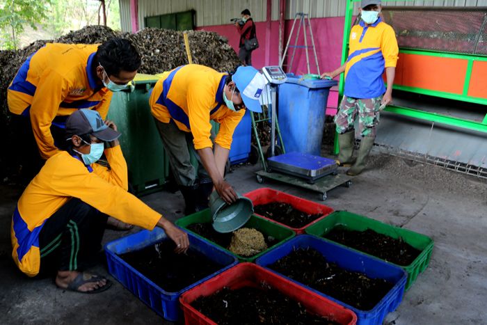 Pengolahan Sampah Rumah di Surabaya Manfaatkan Larva